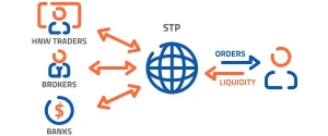 STP Brokers
