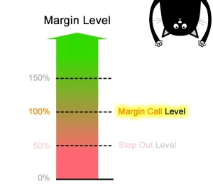 What Is Margin Call in Forex?