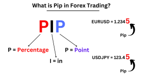 What Is a Pip in Forex?
