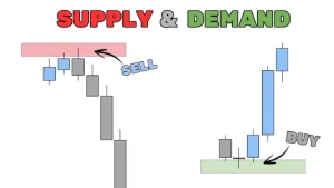 The Importance of Supply and Demand